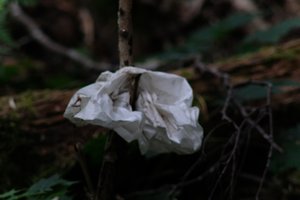 DSCF4412.JPG