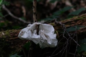 DSCF4418.JPG