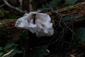 DSCF4424.JPG