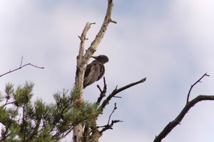 DSCF4428.JPG