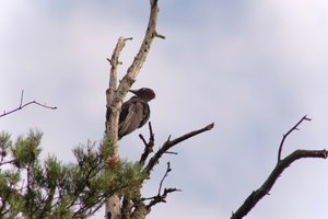 DSCF4429.JPG