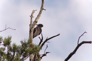 DSCF4430.JPG