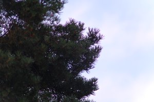 DSCF4632.JPG