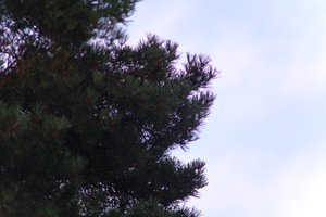 DSCF4633.JPG