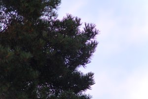 DSCF4634.JPG