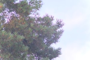 DSCF4635.JPG