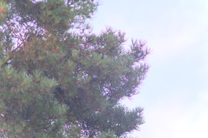 DSCF4636.JPG