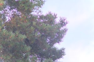 DSCF4637.JPG