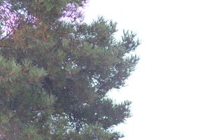 DSCF4638.JPG