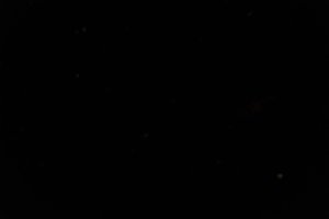 DSCF4695.JPG