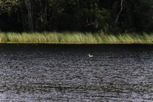 DSCF4716.JPG
