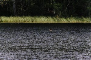 DSCF4717.JPG
