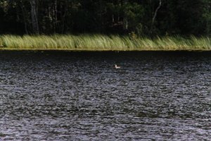 DSCF4718.JPG