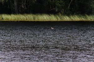 DSCF4719.JPG