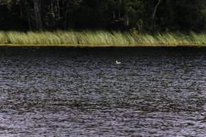 DSCF4720.JPG