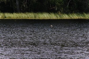 DSCF4721.JPG
