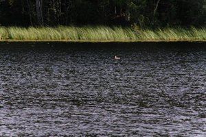 DSCF4722.JPG