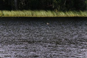 DSCF4723.JPG