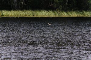 DSCF4724.JPG