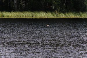 DSCF4725.JPG