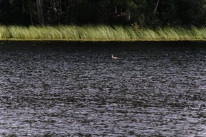 DSCF4727.JPG