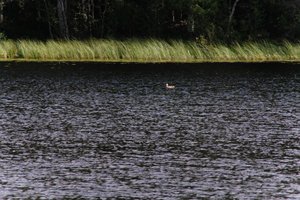 DSCF4728.JPG
