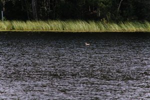 DSCF4729.JPG