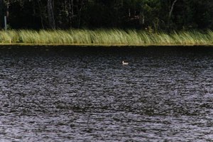 DSCF4730.JPG