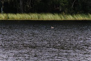 DSCF4731.JPG