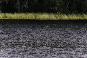DSCF4733.JPG
