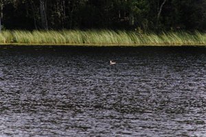 DSCF4734.JPG