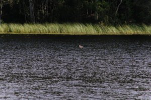 DSCF4735.JPG
