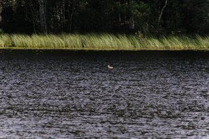 DSCF4736.JPG