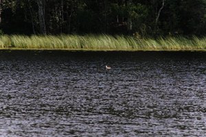 DSCF4737.JPG