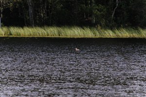 DSCF4738.JPG