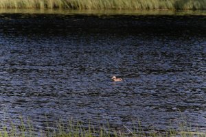 DSCF4740.JPG