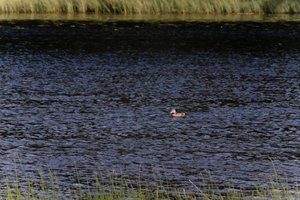 DSCF4741.JPG