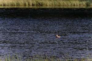 DSCF4743.JPG
