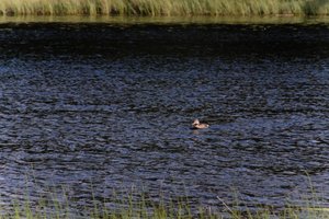 DSCF4744.JPG