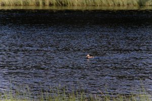 DSCF4745.JPG