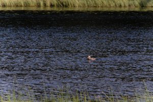 DSCF4747.JPG