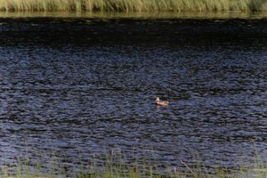 DSCF4748.JPG