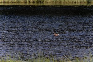 DSCF4749.JPG