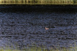 DSCF4750.JPG
