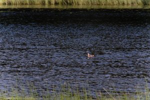 DSCF4751.JPG