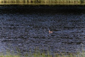 DSCF4752.JPG