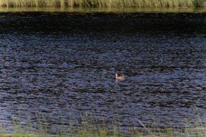 DSCF4753.JPG