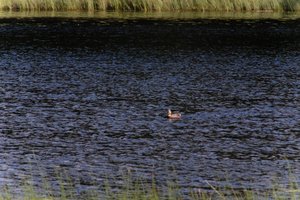 DSCF4754.JPG