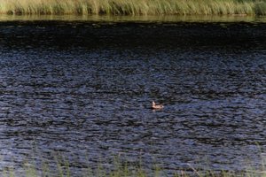 DSCF4755.JPG