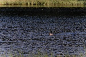 DSCF4756.JPG